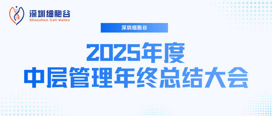深圳evo真人视讯召开2025年度中层管理年终总结大会：多点布局成果丰硕，创新驱动快速开展