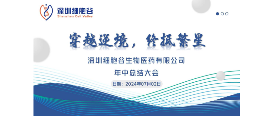 穿越逆境，终抵繁星——深圳evo真人视讯召开2024年中总结大会