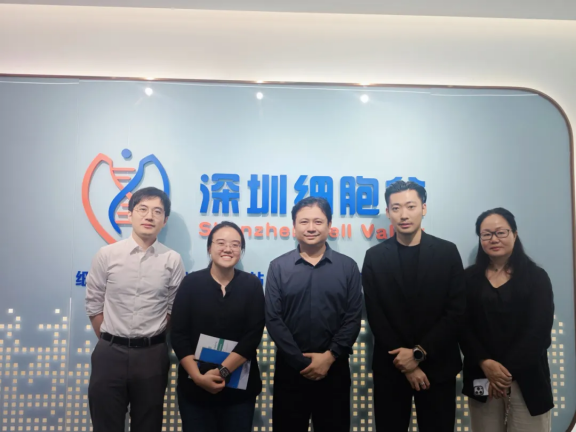 Enterprise Singapore China Directorate Visits Shenzhen Cell Valley for Talks on Cell Therapy Cooperation and Southeast Asian Expansion