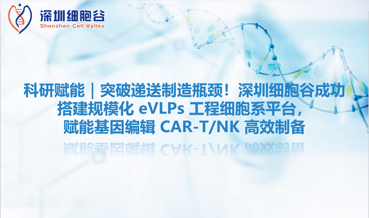 科研赋能｜突破递送制造瓶颈！深圳evo真人视讯成功搭建规模化 eVLPs 工程细胞系平台，赋能基因编辑 CAR-T/NK 高效制备